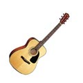 Fender GC12 Acoustic
