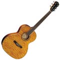 Fender GDO300 OM Acoustic
