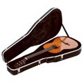 Gator GC Classic Guitar Case